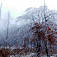 Rozprávková krajina
