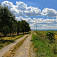 Poľná cesta nad Smrdákmi