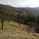 Starý ovocný sad s Goldbergom (Zlatý vrch) v pozadí