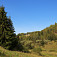 V doline Rimavice