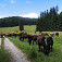 Rudná magistrála, Muránska planina – Studňa na Muránskej planine