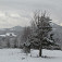 Zimná krajina nad Dolnou Porubou