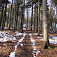 Tesne pod vrcholom
