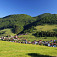 Slovinky zo stúpania, hore Biela skala (926 m)