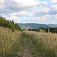Pod vrchom Paseky (710 m)