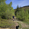 dogtrekking.hiking.sk :)