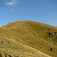 Ploská
