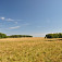 Bôrčanská planina