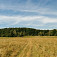 Bôrčanská planina