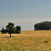 Bôrčanská planina