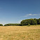 Bôrčanská planina