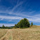 Bôrčanská planina