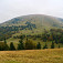 Ploská
