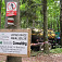 Geologický prieskum