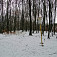 Rázcestie nad Vlčiarňou