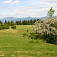 Lazy nad Skleným, v pozadí Veľká Fatra (autor: Marek Lomnický)