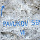 Pavúkov sen