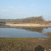 Meander