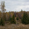 Lúka nad banskou štôlňou (pokračujte nie po červenej, ale doprava)