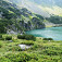 Zielony Staw (Zelené pleso)
