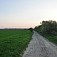 Cestička
