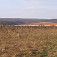 Nový Limbach