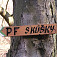 PF skúšky