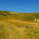 Rybovské sedlo (1317 m)