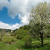 Lačnov