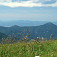 Výhľady na Tlstú - 1373 m, Ľubenú - 1414 m, Ostrú - 1247 m a Drienok - 1268 m n. m.