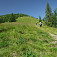 Výstup na Skalnú Alpu - 1463 m n. m.