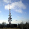Jedna z "dominant" Sitna