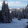 Výhľad na Nízke Tatry povyše Chaty pod Náružím z tzv. chatárskej zjazdovky