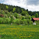 Zákutie pri Čubove. Foto: Marián Rajnoha