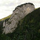 Lastovica