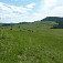 Vyšehradské sedlo