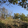Bielený vrch