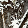 Veľký Sokol
