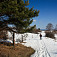 Sklenianske lúky