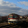Miestny vlak