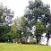 Vrchol Lazy (859 m)