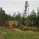 Slepé pleso zarastá