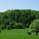 Planina pod Slovinskou skalou