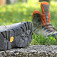 Prabos Tundra GTX - podrážka Vibram Werewolf + PU