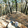 Vrchol Ostrá (508 m)