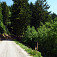Luxusná lesná cesta