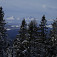 Preriedené stromy úplne nezakrývajú Tatry