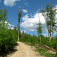 Stúpanie na Drahovú (Vrchdrahová)
