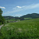 Účelová asfaltka do Jablonového, vpravo Brada v Súľovských skalách