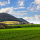 Košariská